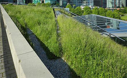 Commercial green roofing installation