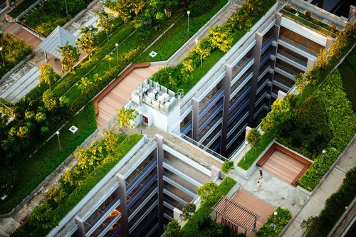 Intensive Green Roofing in Milwaukee