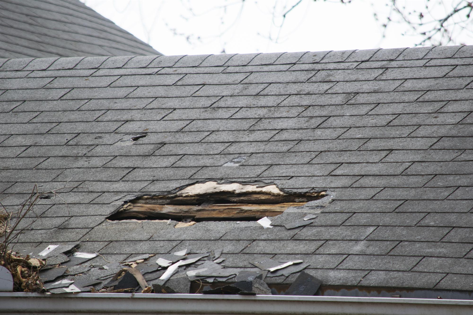 Roof has hole in it and needs to be repaired