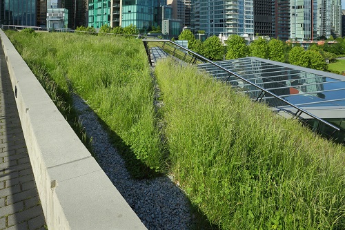 Green Roof Construction Wisconsin