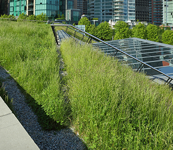 Green vegetative low slope roofing replacement and installation