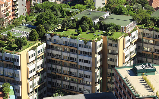 Green Vegetative Commercial Roofing Systems